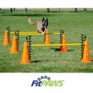 FitPaws Hurdle Set, jeu de haies - image 2