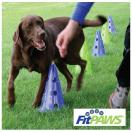 FitPaws Canine Gym kit - image 2