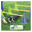 FitPaws Canine Gym kit - image 3
