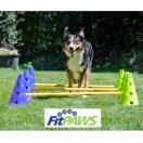 FitPaws Canine Gym kit - image 4