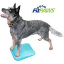FitPaws The Ramp