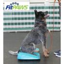 FitPaws The Ramp - image 2