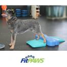 FitPaws The Ramp - image 3