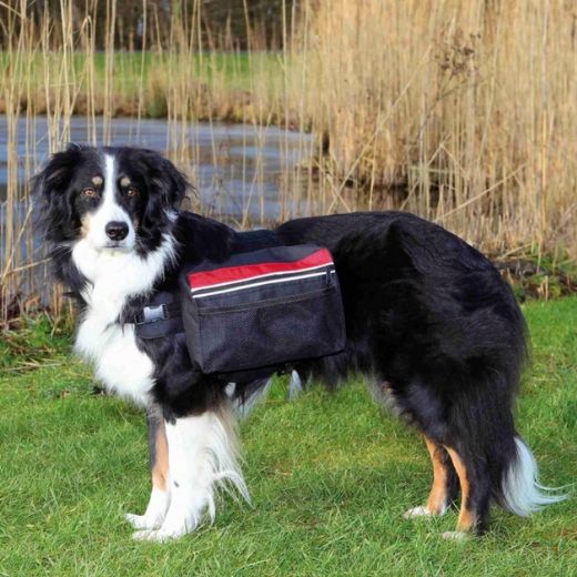 Sac de bât pour chiens