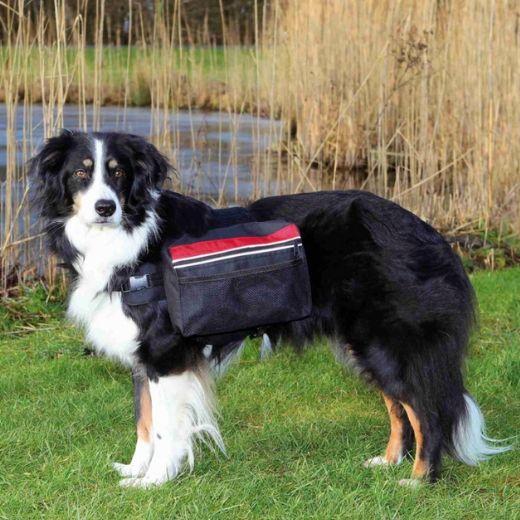 Sac de top bat chien