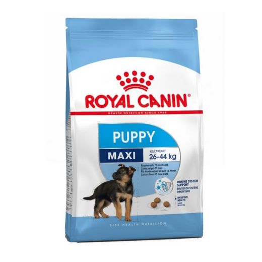 Maxi junior - Royal Canin pour chiots et jeunes chiens