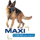 Maxi adult - Royal Canin pour chien - image 2