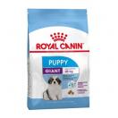 Giant puppy - Royal Canin, croquettes pour chiot
