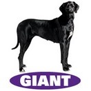 Giant puppy - Royal Canin, croquettes pour chiot - image 2