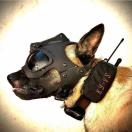 K9 Vision System K9 HELM OPS - image 4