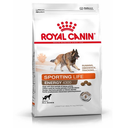 Energy 4300 - Royal Canin