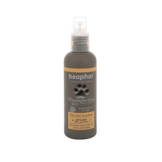 Shampooing sec Empreinte