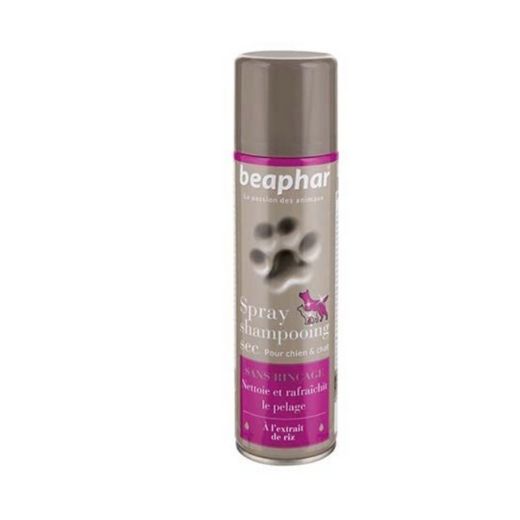 Spray shampooing sec sans rinçage
