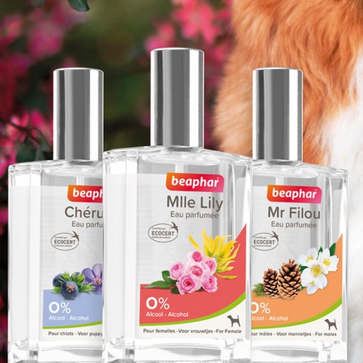 Eau de toilette pour chien, chiot et chienne