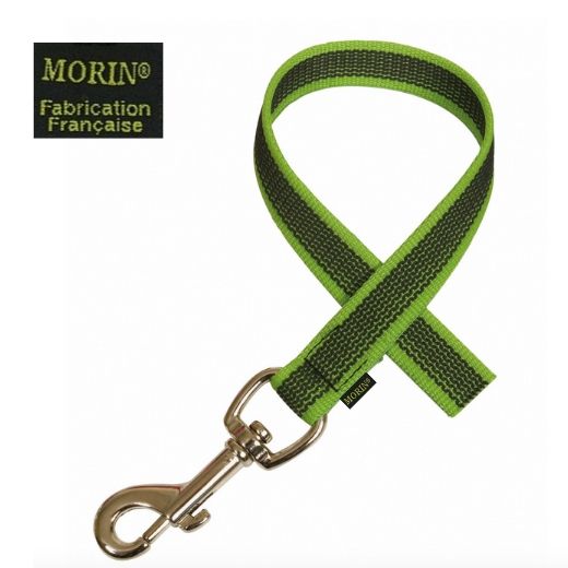 Laisse de conduite antidérapante - Nylon / Gomme - Vert