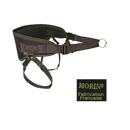 ceinture canicross avec baudrier cuisse.Sport Canin : Attelage - Canicross  - Cani-VTT, tous les accessoires sont chez Morin France