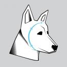 Rex Specs EAR PRO - protection auditive pour chien - image 6