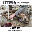 Mannequin d’entrainement NARS K9 - ITTS