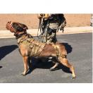 Harnais OPERATOR pour chien - RECON K9 - image 3