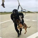 Harnais OPERATOR pour chien - RECON K9 - image 4