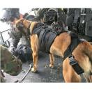 Harnais OPERATOR pour chien - RECON K9 - image 5