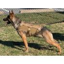 Harnais DAGGER pour chien - Recon K9