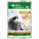 Equilibre & Instinct - Effils sauce poulet, courges, agrumes