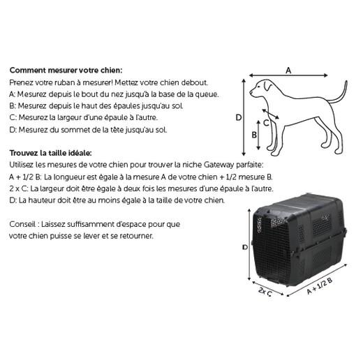 Prendre l'avion avec mon chien ? Sac aux normes IATA.