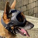 Casque de protection pour chien DARK SYSTEM