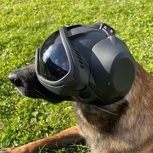 casque k9 helm + les protections oreilles. Morin : Équipement de protection  pour chien et Brigades Canine (K9)