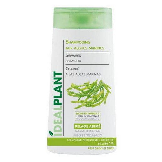 Shampooing IdéalPlant aux algues marines