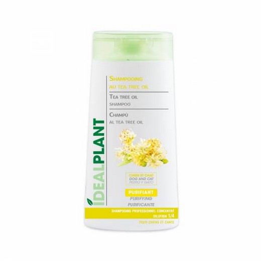 Shampooing IdéalPlant au tea tree oil