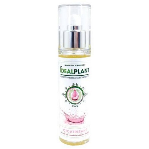 Huile essentielle IdealPlant cicatrisant 100 ml