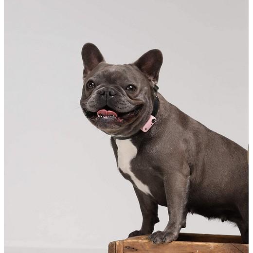 Tickless - Répulsif Antiparasitaire Mini Dog Ultrason Rechargeable pour  Chiens - Bleu