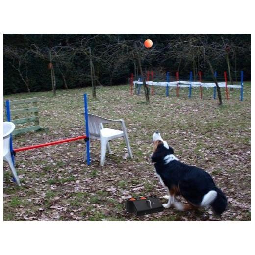 Shooter Ball. Frisbee, Lanceur de balle - MORIN FRANCE : accessoires et  jouets pour chien et chiot