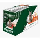 Equilibre et Instinct - Emincs chat, poulet courges et agrumes