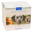 Pet Phos chien sportif  la L.carnitine