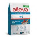 Alleva Equilibrium chat, poisson, strilis