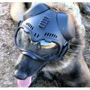 Casque K9 Helm Tactical CS-1 - image 5