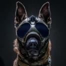 K9 Vision System K9 Helm ONE - image 1