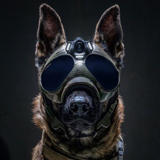 K9 Vision caméra embarquée pour chien / cyno - MORIN FRANCE. Accessoires  pour forces de l'ordre et la sécurité