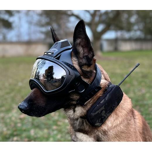 K9 Vision caméra embarquée pour chien / cyno - MORIN FRANCE. Accessoires  pour forces de l'ordre et la sécurité