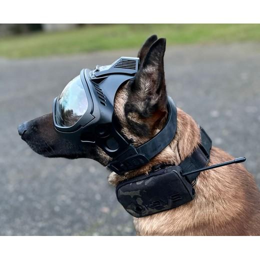 K9 Vision caméra embarquée pour chien / cyno - MORIN FRANCE. Accessoires  pour forces de l'ordre et la sécurité