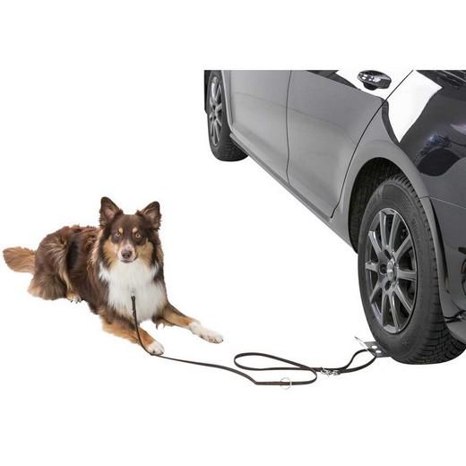 TRIXIE Boucle pour attacher le chien dans la voiture