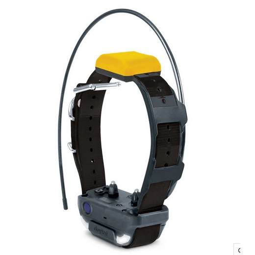 Dogtra Pathfinder 2 - collier de repérage GPS pour chien de chasse
