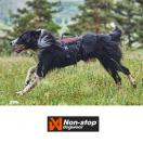 Harnais Rock Harness Long - NON-STOP Dogwear - image 2