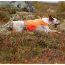Veste de chasse pour chien PROTECTOR COVER / NON-STOP Dogwear - image 3