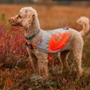 Veste reflechissante pour chien NON-STOP Dogwear - image 6