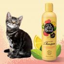 Shampoing Felin Good, nourrissant parfum LEMON BERRY 300 ml - PET HEAD - image 4