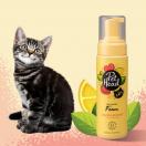 Spray mousse Felin Good, shampoing sans rinage LEMON BERRY 200 ml - PET HEAD - image 5